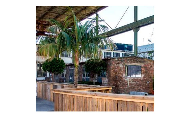 decher_kentie-flaschenstamm-l-400m-500m