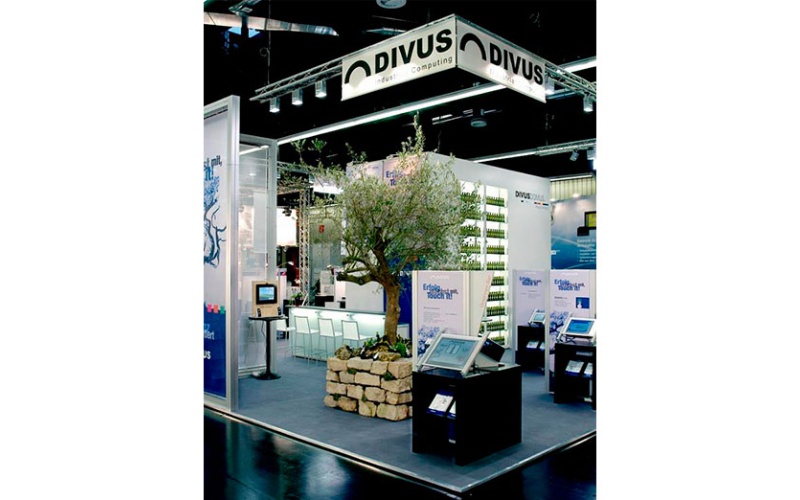 decher_olivenbaum-extra-mit-mauerverkleidung-extern